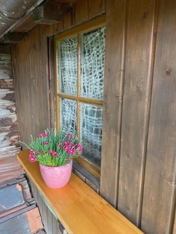 Ferienhaus Irene FDH Εξωτερικό φωτογραφία